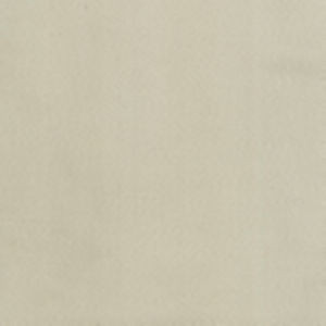 Norbar Fabric Supra Honey 02 SUPRA SUEDE 75% POLYESTER 25% COTTON SPAIN 54" - My Fabric Connection -