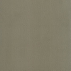 Norbar Fabric Supra Mink 81 SUPRA SUEDE 75% POLYESTER 25% COTTON SPAIN 54" - My Fabric Connection -