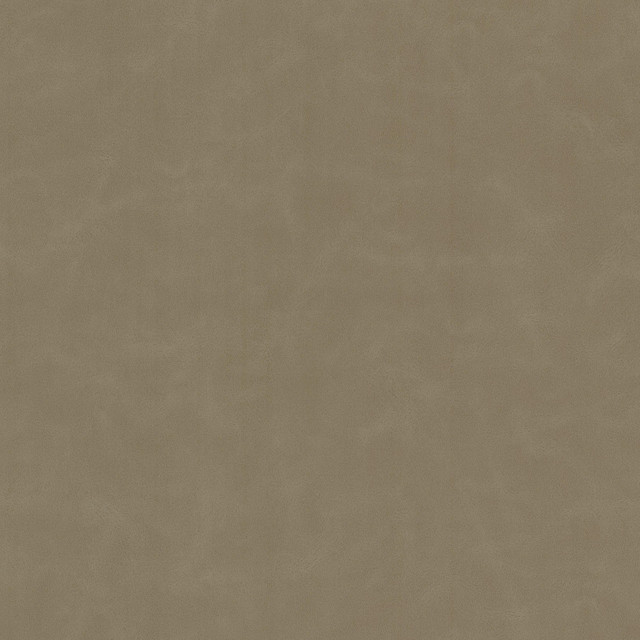 Stout Fabric Cervantes 9 Agate LEATHER LOOKS V 100%PVC 1%OTH CHINA Horizontal: 0.000 and Vertical: 0.000 54 in - My Fabric Connection -