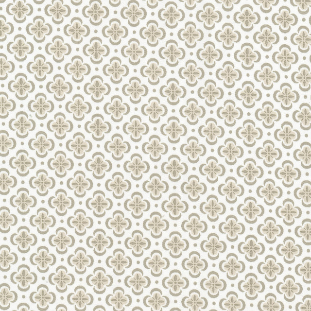 Stout Fabric Basilica 4 Putty RAINBOW LIBRARY ALMOND/GRANITE 100%COT INDIA Horizontal: 1.500 and Vertical: 1.500 54 in - My Fabric Connection -