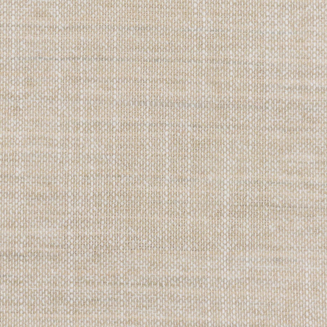 Stout Fabric Palace 2 Bamboo TEMPTATION II DRAPERY TEXTURES 100%POL INDIA CATB 117-2013 WYZENBEEK 50 000 DOUBLE RUB WEAR TEST (HEAVY DUTY) Horizontal: 0.000 and Vertical: 0.000 55 in - My Fabric Connection -