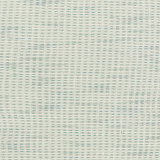 Stout Fabric Disbelieve 1 Spa TEXTURE APPEAL 52%COT 48%POL USA CATB 117-2013 WYZENBEEK 100 000 DOUBLE RUB WEAR TEST (HEAVY DUTY) Horizontal: 0.500 and Vertical: 0.500 54 in - My Fabric Connection -