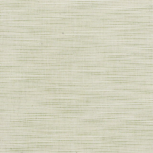 Stout Fabric Disbelieve 3 Pear TEXTURE APPEAL 52%COT 48%POL USA PERFORMANCE RATED FABRIC FLAME RETARDANT-U.F.A.C. CLASS 1 CATB 117-2013 WYZENBEEK 30 000 DOUBLE RUB WEAR TEST (HEAVY DUTY) Horizontal: 0.500 and Vertical: 0.500 54 in - My Fabric Connection -