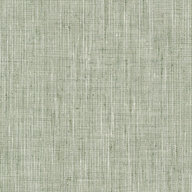 Stout Fabric Rembrandt 6 Sage RAINBOW LIBRARY SAGE/CYPRESS 100%POL INDIA Horizontal: 0.000 and Vertical: 0.000 54 in - My Fabric Connection -
