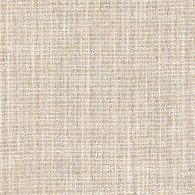 Stout Fabric Clone 1 Champagne LIVING IS EASY BONE/WHEAT 61%POL 39%SVI USA Horizontal: 0.000 and Vertical: 0.000 54 in - My Fabric Connection - Stout Fabric Clone 1 Champagne LIVING IS EASY BONE/WHEAT 61%POL 39%SVI USA Horizontal: 0.000 and Vertical: 0.000 54 in - My Fabric Connection -