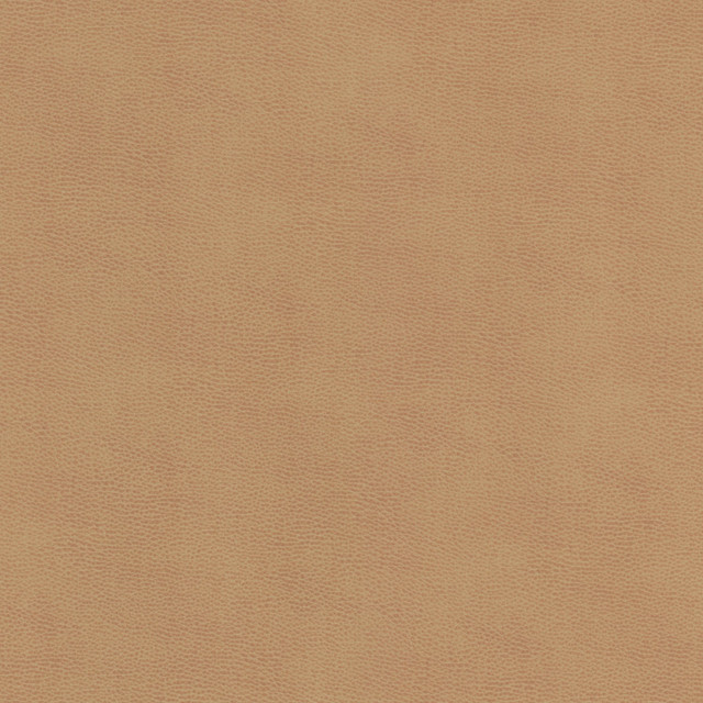 Stout Fabric Ziemba 1 Lion LEATHER LOOKS V 100%POU 1%OTH KOREA Horizontal: 0.000 and Vertical: 0.000 54 in - My Fabric Connection - Stout Fabric Ziemba 1 Lion LEATHER LOOKS V 100%POU 1%OTH KOREA Horizontal: 0.000 and Vertical: 0.000 54 in - My Fabric Connection -