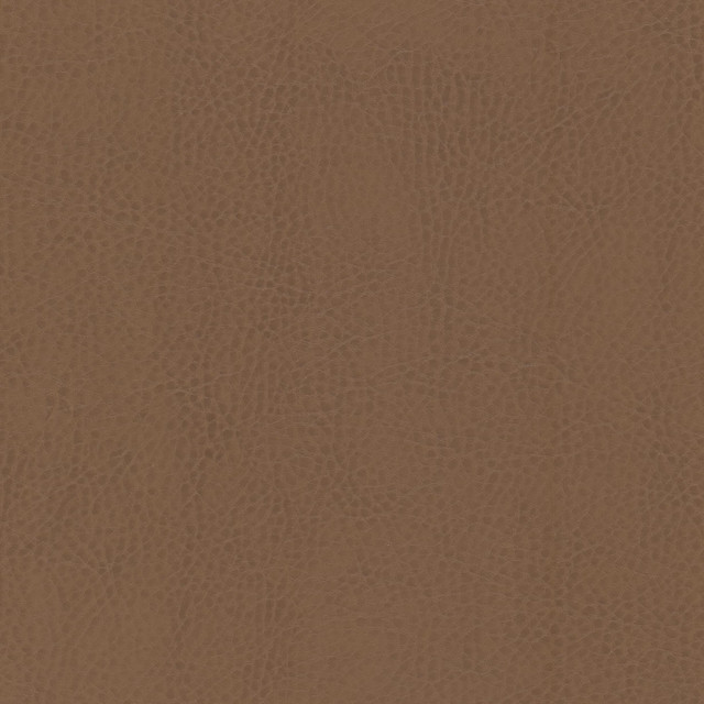 Stout Fabric Odean 5 Saddle LEATHER LOOKS V 100%POU 100%OTH CHINA Horizontal: 0.000 and Vertical: 0.000 54 in - My Fabric Connection -