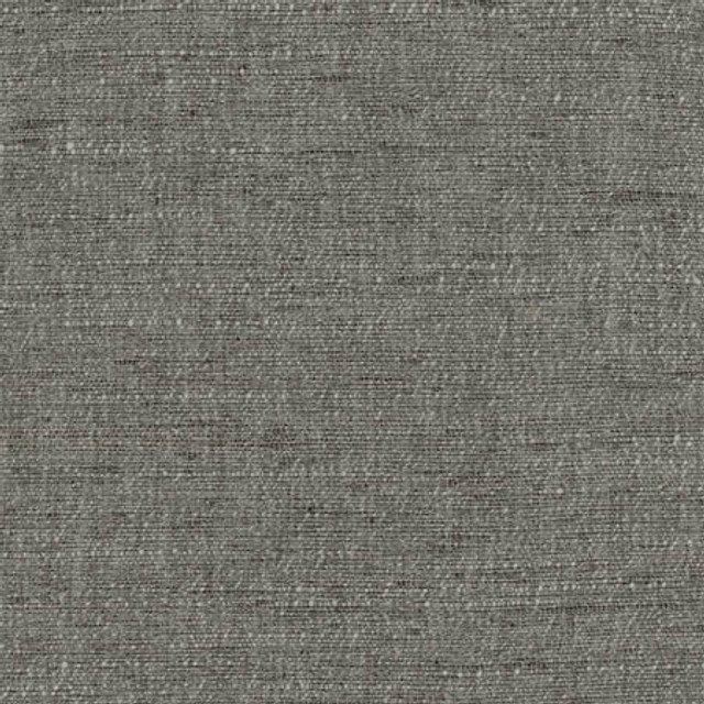 Training Day Charcoal by Carole Designer Fabric Dove Wing 92% Polyester, 8% Cotton INDIA N/A None 54" - Swanky Fabrics -