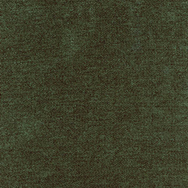 Bright Future Forest Green by Carole Designer Fabric First Class 100% Polyester CHINA 100,000 Wyzenbeek Double Rubs None 54" - Swanky Fabrics -