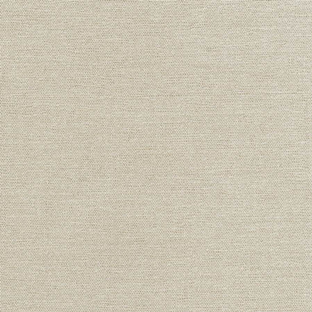 Total Dream Pewter by Carole Designer Fabric First Class 100% Polyester-Softened TURKEY N/A None 54" - Swanky Fabrics -