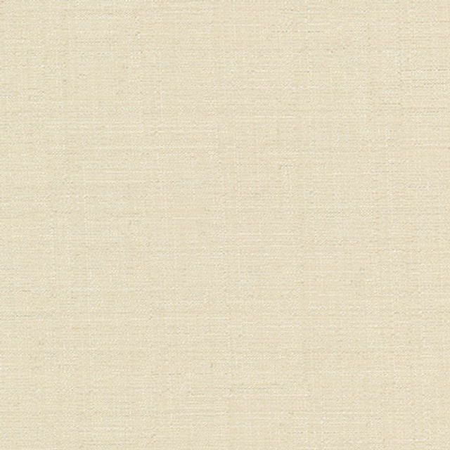 Cortland Bone by Carole Designer Fabric Gala 100% Polyester India 30,000 WYZENBEEK DOUBLE RUBS None 54.75" - Swanky Fabrics -