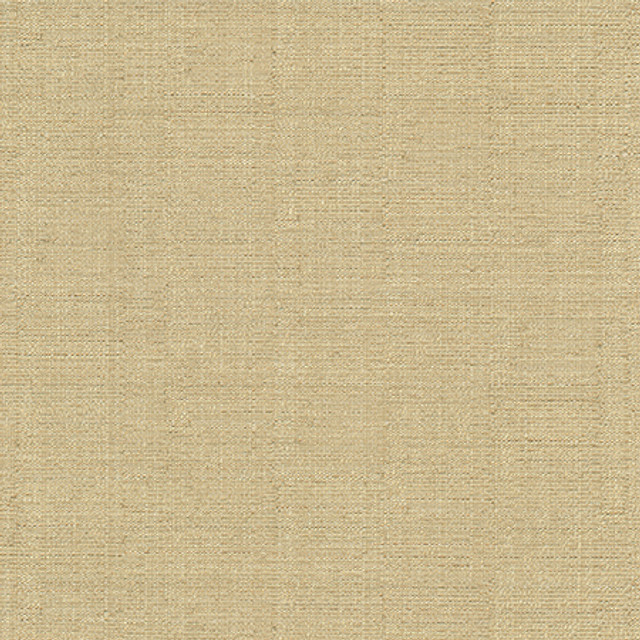 Cortland Eggnog by Carole Designer Fabric Gala 100% Polyester India 30,000 WYZENBEEK DOUBLE RUBS None 54.75" - Swanky Fabrics -