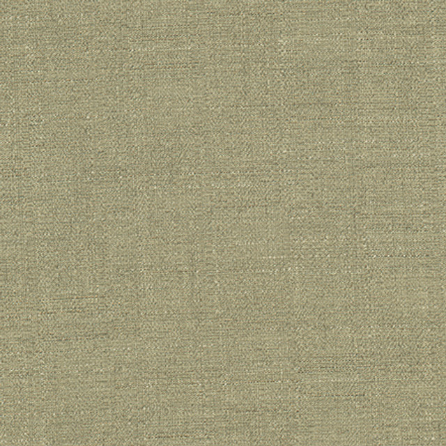 Cortland Evergreen by Carole Designer Fabric Gala 100% Polyester India 30,000 WYZENBEEK DOUBLE RUBS None 54.75" - Swanky Fabrics -