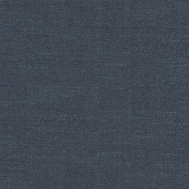 Cortland Navy by Carole Designer Fabric Gala 100% Polyester India 30,000 WYZENBEEK DOUBLE RUBS None 54.75" - Swanky Fabrics -