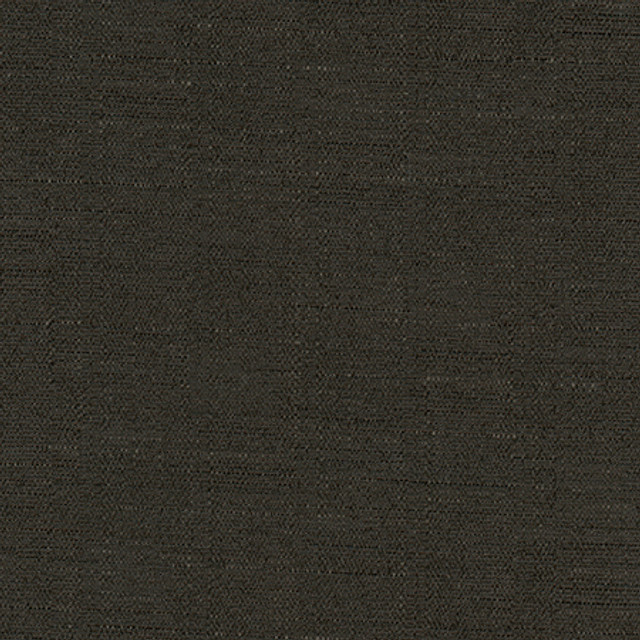 Cortland Onyx by Carole Designer Fabric Gala 100% Polyester India 30,000 WYZENBEEK DOUBLE RUBS None 54.75" - Swanky Fabrics -