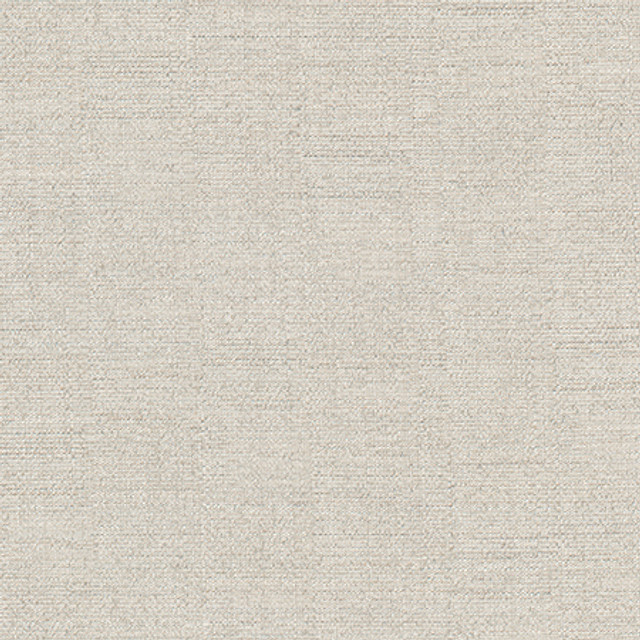 Cortland Platinum by Carole Designer Fabric Gala 100% Polyester India 30,000 WYZENBEEK DOUBLE RUBS None 54.75" - Swanky Fabrics -