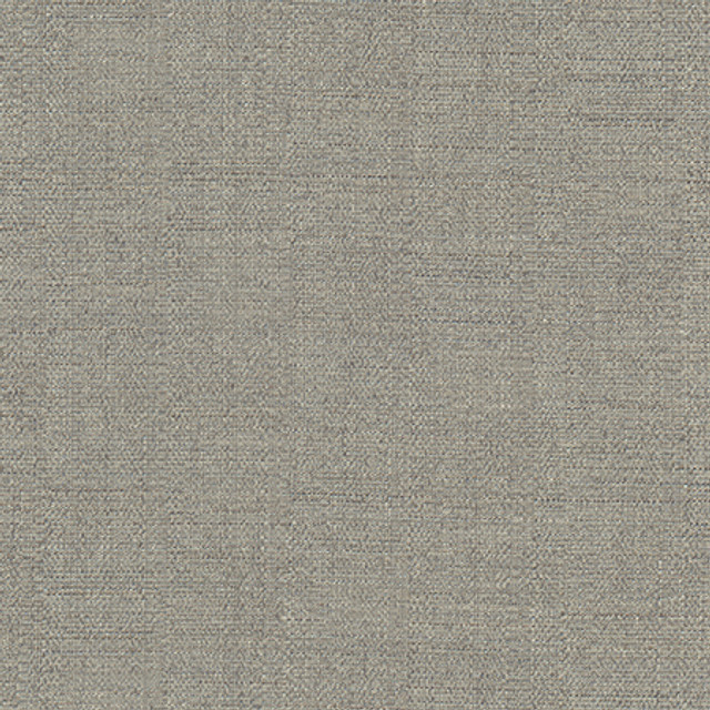 Cortland Stone by Carole Designer Fabric Gala 100% Polyester India 30,000 WYZENBEEK DOUBLE RUBS None 54.75" - Swanky Fabrics -