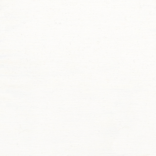 Rumi Snow by Carole Designer Fabric Gala 100% Polyester India N/A None 54" - Swanky Fabrics -