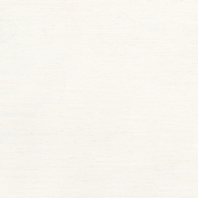 Rumi White by Carole Designer Fabric Gala 100% Polyester India N/A None 54" - Swanky Fabrics -