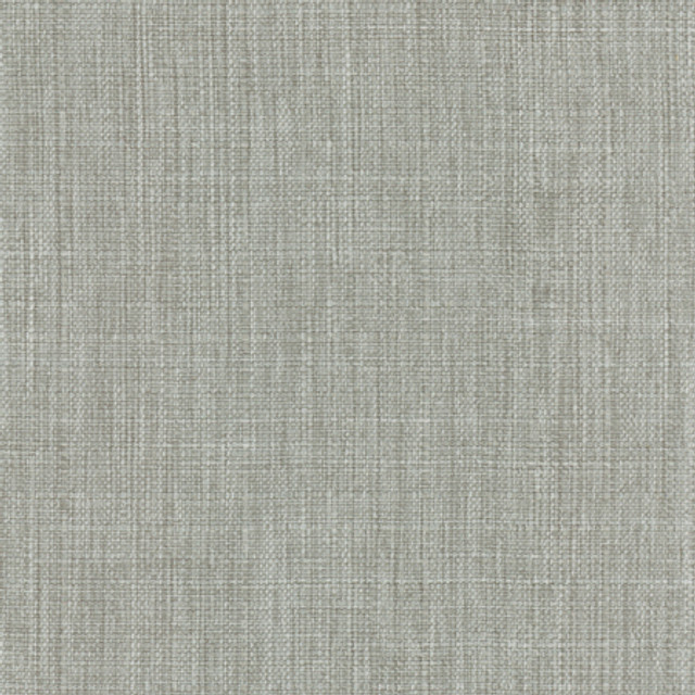 Intention Fog by Carole Designer Fabric Head Start 100% Polyester Taiwan 25,000 Wyzenbeek Double Rubs None 54" - Swanky Fabrics -