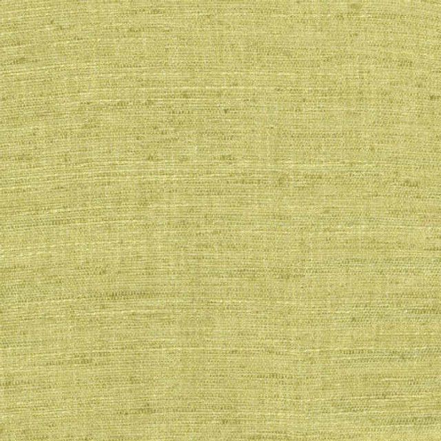 Training Day Lime by Carole Designer Fabric Laguna 92% Polyester, 8% Cotton INDIA N/A None 54" - Swanky Fabrics -