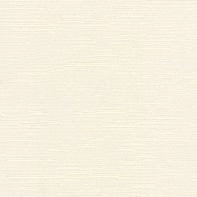 Fitz Cream by Carole Designer Fabric Let's Mingle 52% Cotton, 48% Polyester Taiwan 75,000 Wyzenbeek Double Rubs None 54" - Swanky Fabrics -