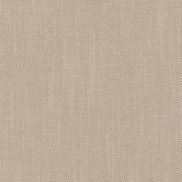 Liberty Froth by Carole Designer Fabric Liberty II 100% Polyester India 50,000 Wyzenbeek Double Rubs None 54" - Swanky Fabrics -