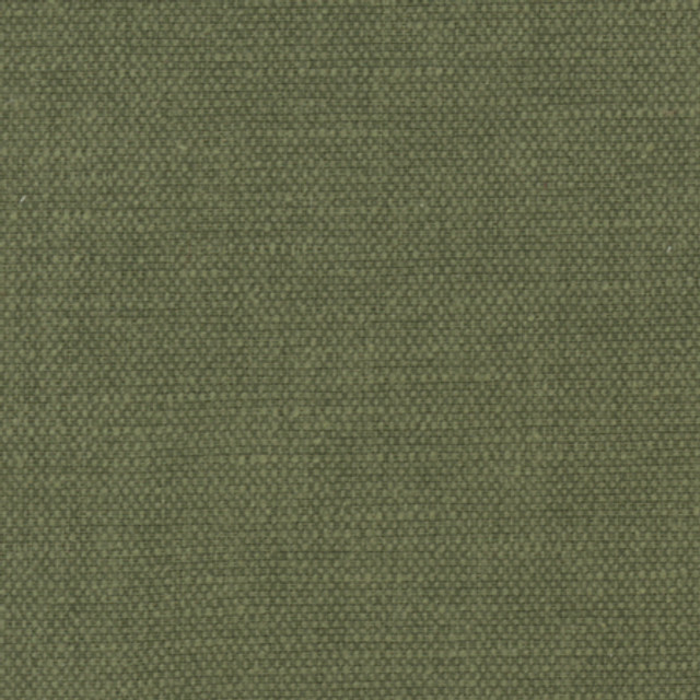 Bessarion Tarragon by Carole Designer Fabric Prominence 71% Polyester, 29% Cotton India 15,000 Wyzenbeek Double Rubs None 55" - Swanky Fabrics -
