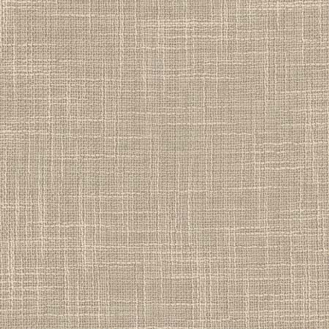 As Always Stone by Carole Designer Fabric See It Through 100% Polyester Turkey N/A None 55.5" - Swanky Fabrics -