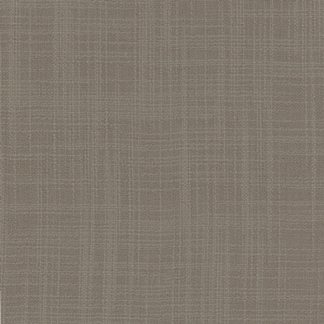 Lets Be Real Steel by Carole Designer Fabric See It Through 100% Recycled Polyester India 50,000 Wyzenbeek Double Rubs None 54" - Swanky Fabrics -