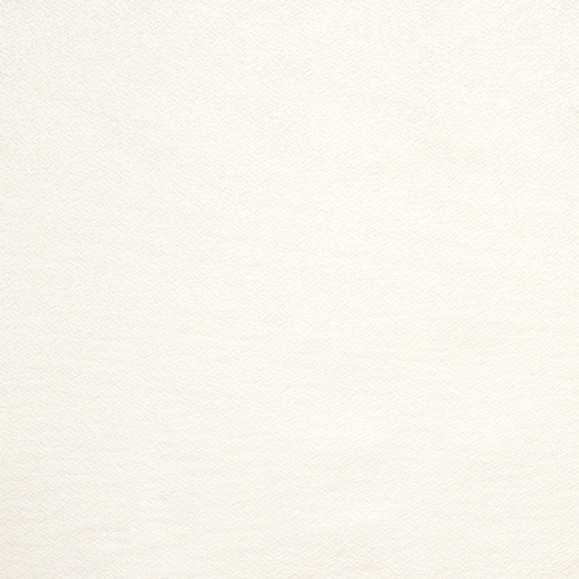 Gravel Path Cream by Carole Designer Fabric State Of The Art 100% Polyester INDIA 30,000 Wyzenbeek Double Rubs None 54" - Swanky Fabrics -