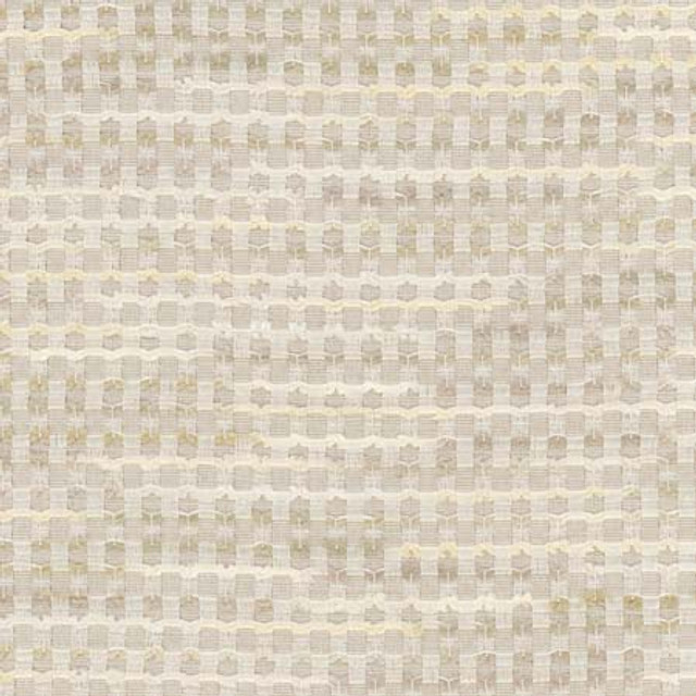 Ready To Rumble Travertine by Carole Designer Fabric Stone Path 60% Polyester, 40% Cotton India 40,000 Wyzenbeek Double Rubs None 57" - Swanky Fabrics -