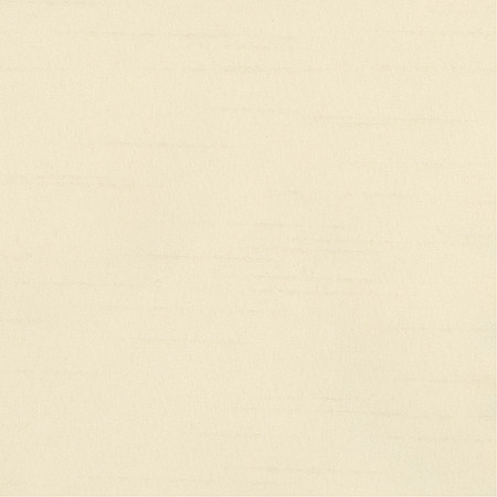 Bane Biscuit by Carole Designer Fabric With Grace 100% Polyester Hybrid FR Mexico 30,000 WYZENBEEK DOUBLE RUBS None 54" - Swanky Fabrics -