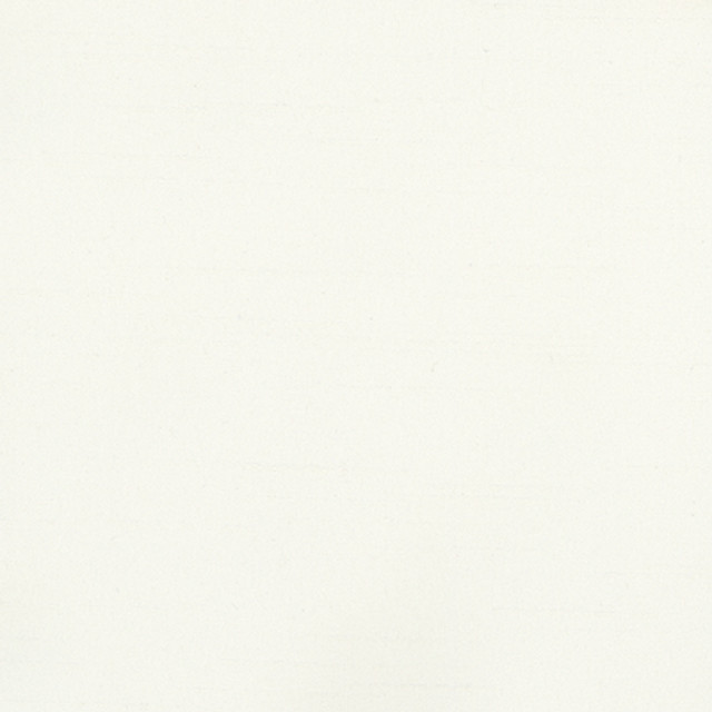 Bane Pearl by Carole Designer Fabric With Grace 100% Polyester Hybrid FR Mexico 30,000 WYZENBEEK DOUBLE RUBS None 54" - Swanky Fabrics -