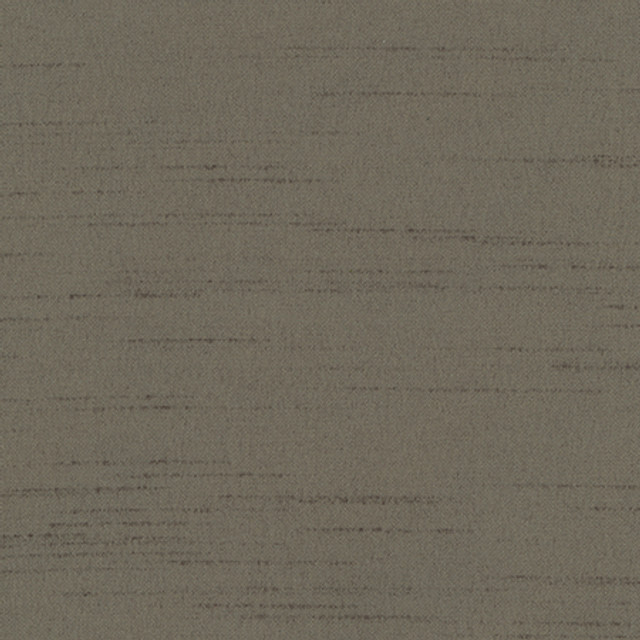 Bane Pistol by Carole Designer Fabric With Grace 100% Polyester Hybrid FR Mexico 30,000 WYZENBEEK DOUBLE RUBS None 54" - Swanky Fabrics -