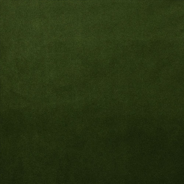 Kasmir Fabric Prelude Grass  5189 100% Polyester  TAIWAN  </p><p>Repeat: Horizontal: N/A and Vertical: N/A 58  - My Fabric Connection -
