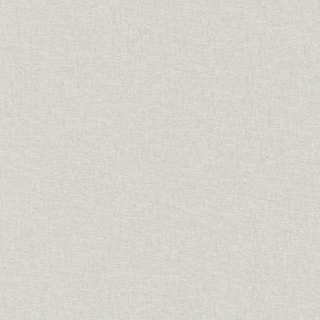 Maxwell Fabric Conte # 857 Sterling Curled Up Viii 100% POLYESTER INDIA 54" - My Fabric Connection -