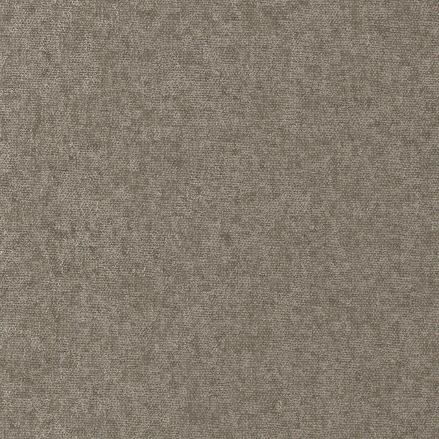 Maxwell Fabric Conte # 907 Plaza Curled Up Viii 100% POLYESTER INDIA 54" - My Fabric Connection -