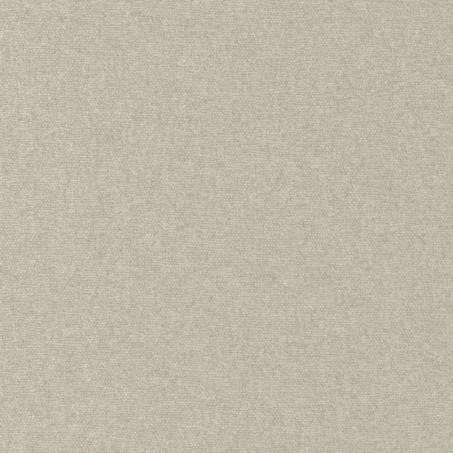 Maxwell Fabric Conte # 924 Limestone Curled Up Viii 100% POLYESTER INDIA 54" - My Fabric Connection -