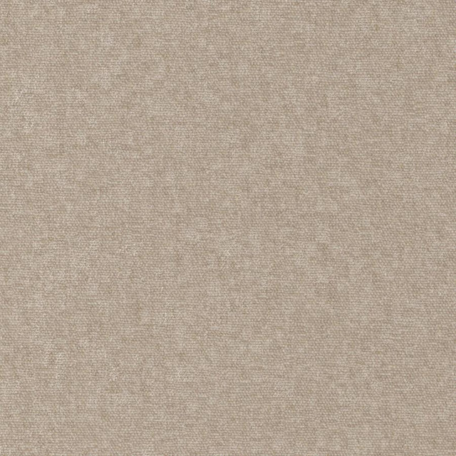 Maxwell Fabric Conte # 928 Taupe Curled Up Viii 100% POLYESTER INDIA 54" - My Fabric Connection -