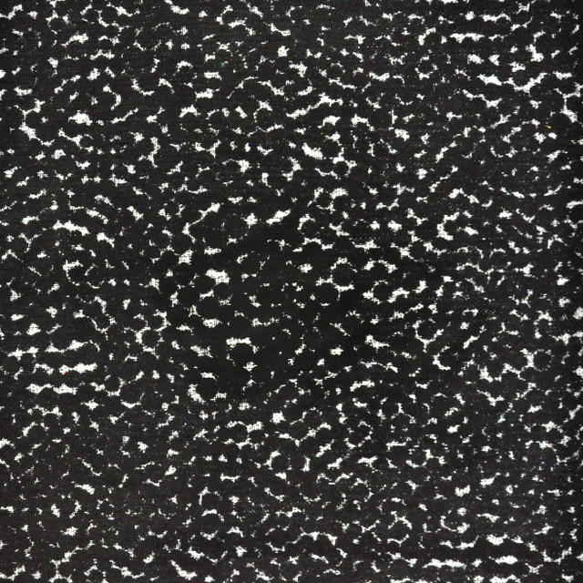 Maxwell Fabric GUMDROP 810 DALMATIAN PERFORMANCE WOVENS-VOL. VI PAMPAS 100% UV POLYESTER USA V-13.7" H-14.3" 56.3" - My Fabric Connection -