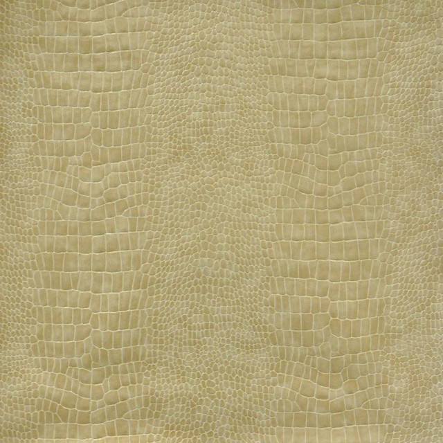 Maxwell Fabric Lizzie # 758 Cashew Easy Rider Viii FACE: 100% PVC
BACKING: 65% POLYESTER KOREA V-7.5" H-8.5" 54" - My Fabric Connection -