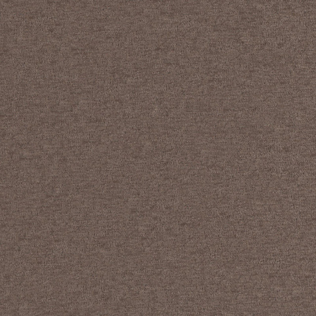 Maxwell Fabric PINTURA 909 NUT CURLED UP VIII 100% POLYESTER CHINA 55" - My Fabric Connection -
