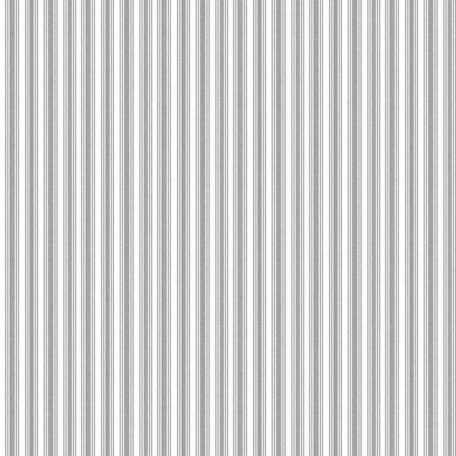 RM CoCo Fabric French Ticking Domino