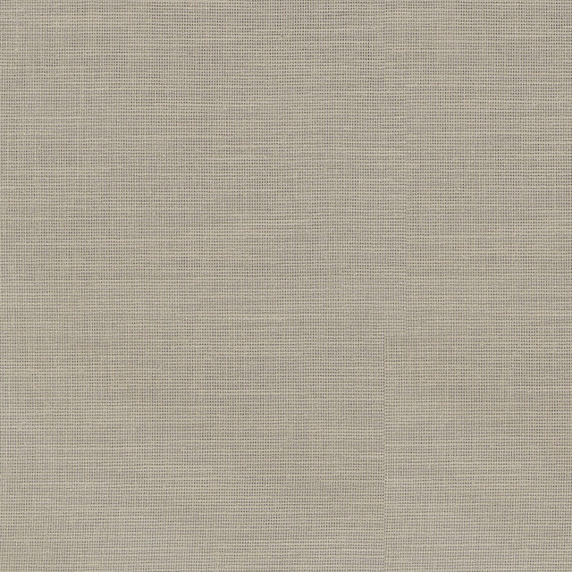 PKL Studio Fabric Chiara Linen 411222 100% Polyester India n/a Horizontal: N/A and Vertical: N/A 54 - My Fabric Connection -