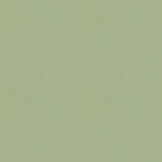 PKL Studio Fabric Vernon Celadon 410910 100% Cotton India 21000 Horizontal: 0 and Vertical: 0 55 - My Fabric Connection -