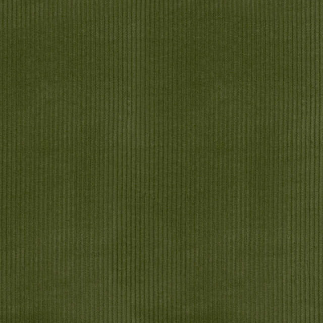 PKL Studio Fabric Wales Avocado 412021 100% Cotton China 51000 Horizontal: 0.2 and Vertical: N/A 55 - My Fabric Connection -