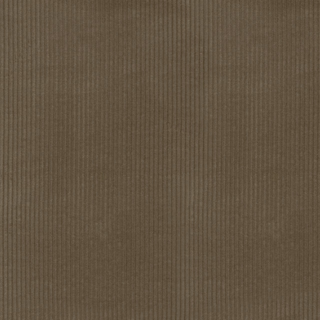 PKL Studio Fabric Wales Porcini 412037 100% Cotton China 51000 Horizontal: 0.2 and Vertical: N/A 55 - My Fabric Connection -