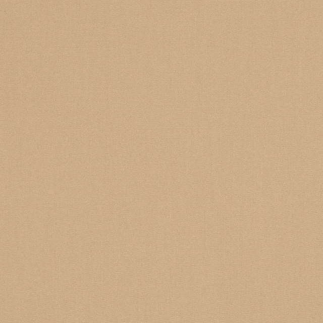 Charlotte Fabric D3436 Cabana 100% Solution Dyed Acrylic Asia Exceeds 120,000 Wyzenbeek Rubs (Heavy Duty) No Repeat 54 Inches - My Fabric Connection -