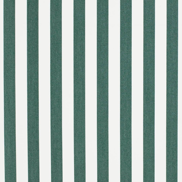 Charlotte Fabric D3467 Cabana 100% Solution Dyed Acrylic Asia Exceeds 120,000 Wyzenbeek Rubs (Heavy Duty) Horizontal 2" 54 Inches - My Fabric Connection -